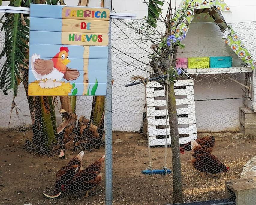 Chiclana El Principito Villa ชิกลานา เด ลา ฟรอนเตรา ภายนอก รูปภาพ