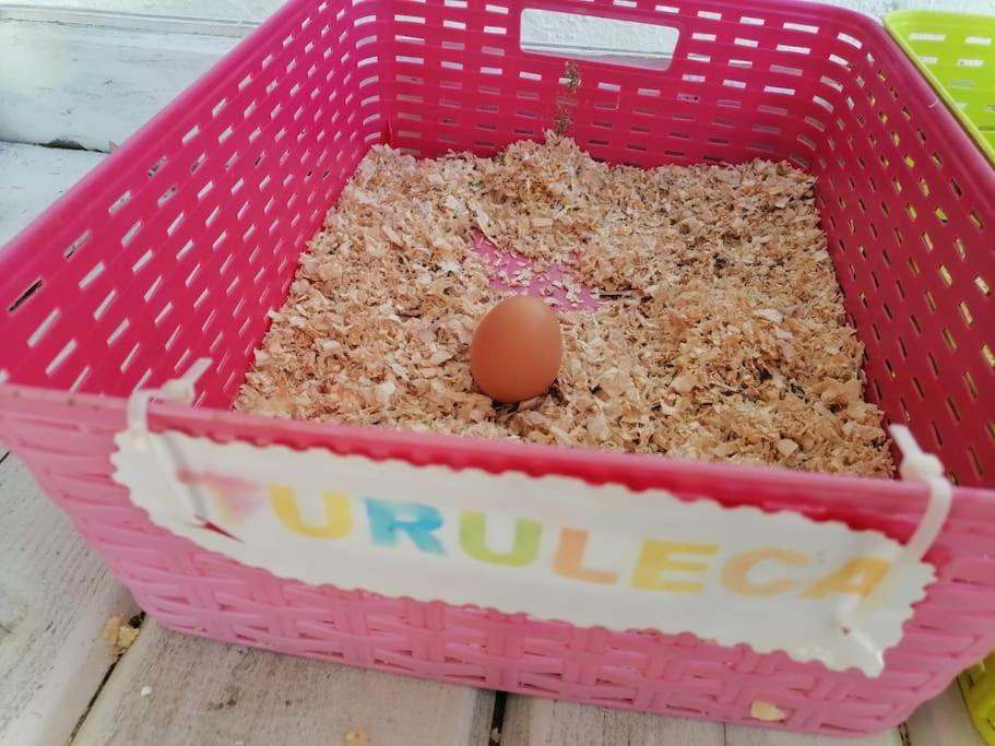 Chiclana El Principito Villa ชิกลานา เด ลา ฟรอนเตรา ภายนอก รูปภาพ