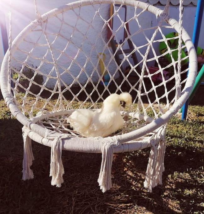 Chiclana El Principito Villa ชิกลานา เด ลา ฟรอนเตรา ภายนอก รูปภาพ